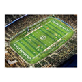 15’ Piece of Sonny Lubick Field Turf