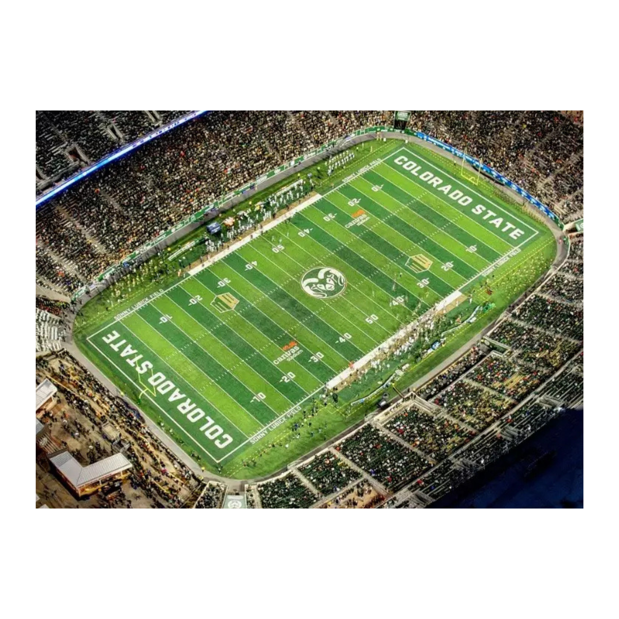 15’ Piece of Sonny Lubick Field Turf