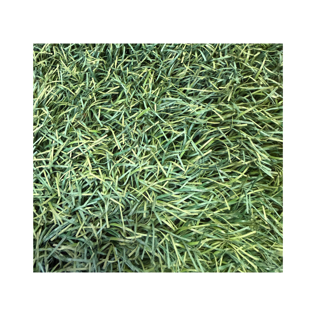 Authentic Game-Used Canvas Stadium Field Turf