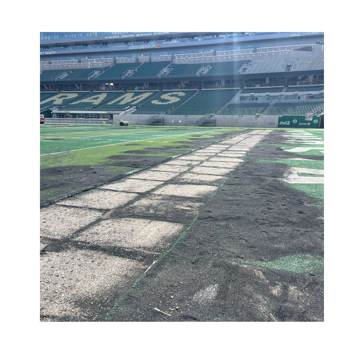 Authentic Game-Used Canvas Stadium Field Turf