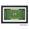 Mini Sonny Lubick Field Turf Collectible