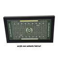 Framed Colorado State football field mock-up with black frame