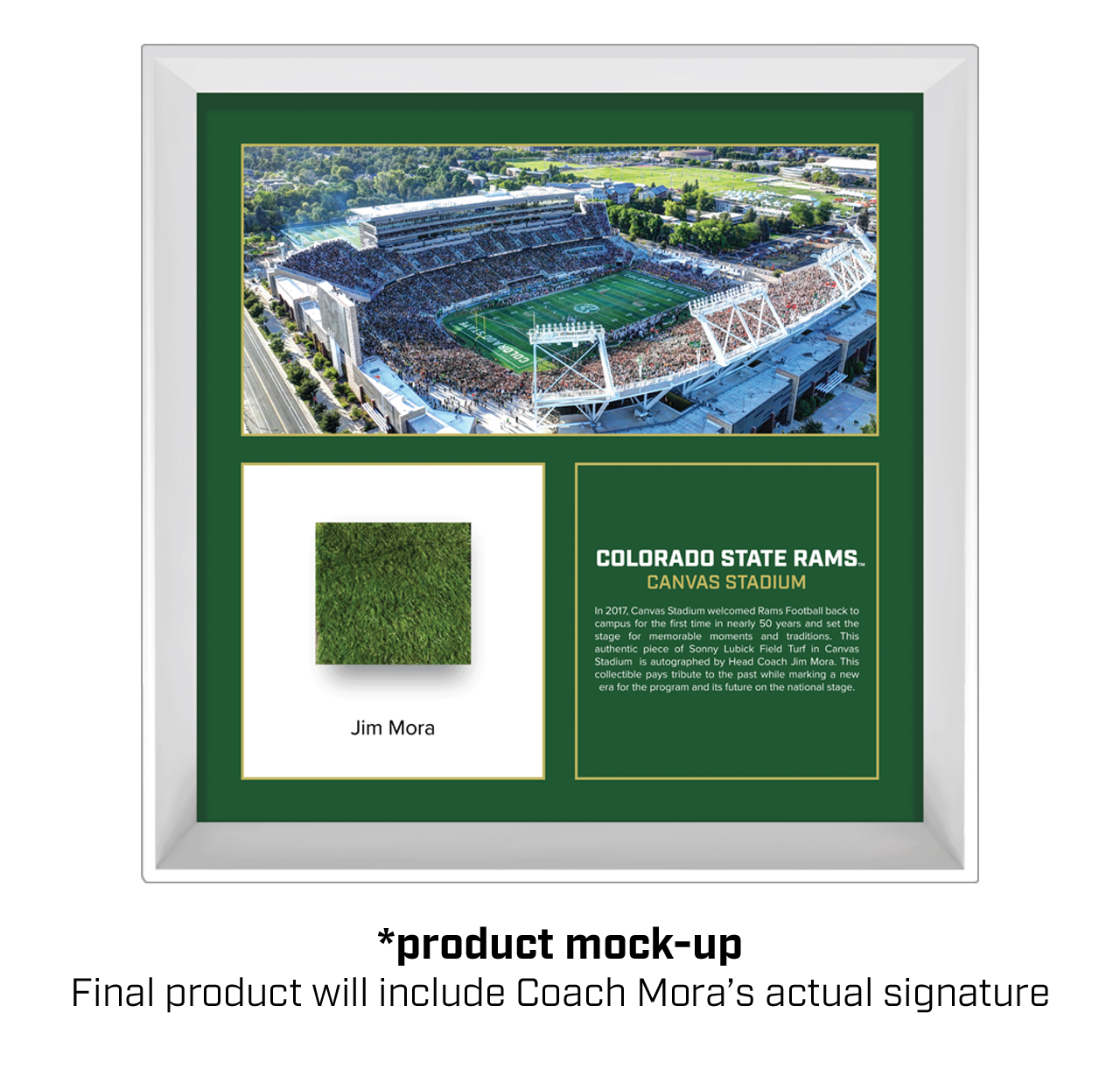 Coach Mora Signed Turf Collectible