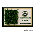 Sonny Lubick Field Turf Collectible Swatch