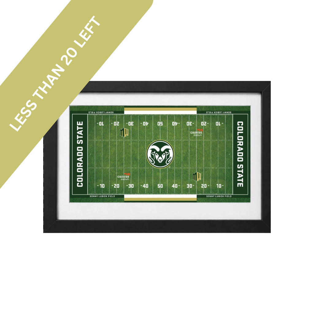 Mini Sonny Lubick Field Turf Collectible