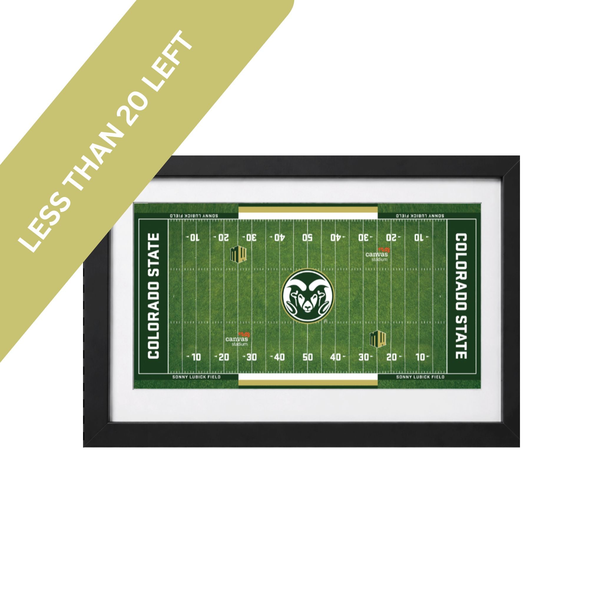 Mini Sonny Lubick Field Turf Collectible